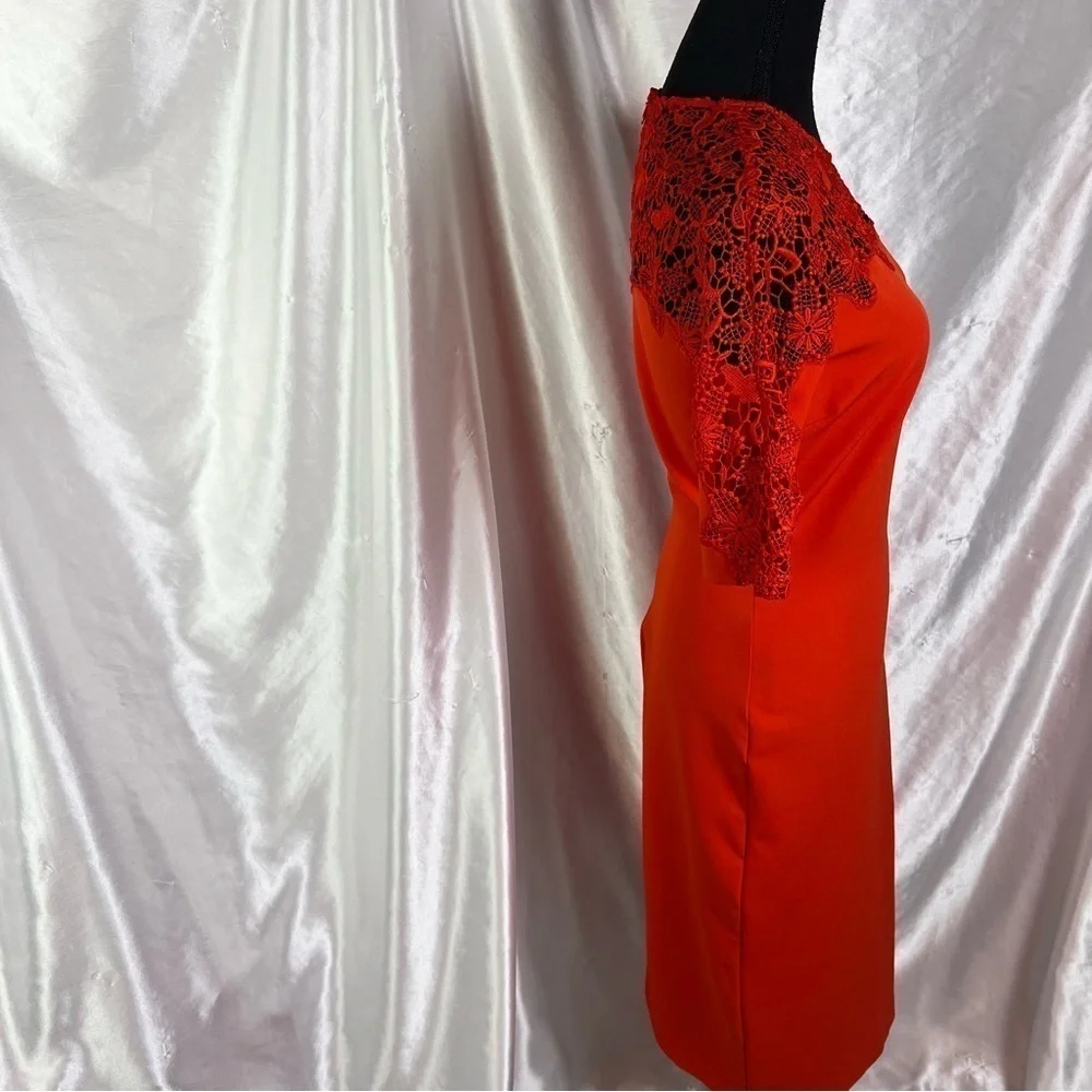 Zara Red Floral Lace Semi-Fitted Knee-Length Dress NWT | Romantic Trendy S